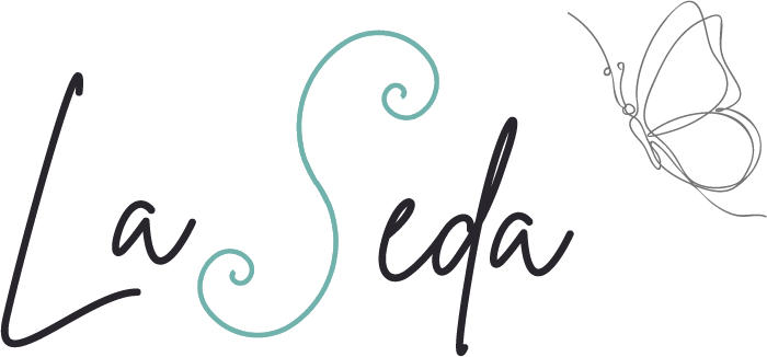 Logo Centro La Seda